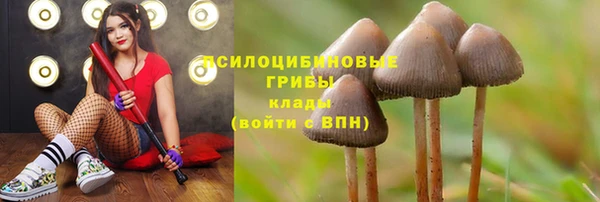 MDMA Premium VHQ Новозыбков