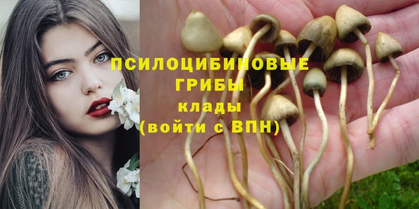 таблы Алексеевка