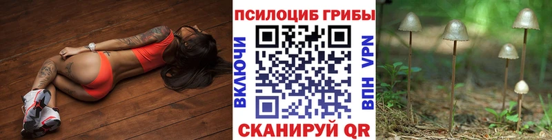 Галлюциногенные грибы MAGIC MUSHROOMS  дарк нет как зайти  Кохма 